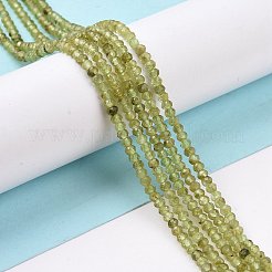 天然石ペリドットビーズ連売り  多面カット  ロンデル  3x2.5mm  穴：0.5mm  約188個/連  15.55''（39.5センチメートル）&nbsp;G-E591-05