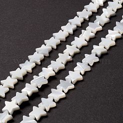 天然トロチッドシェル/トロカスシェルビーズ  スター  貝殻色  10x11x2.5~3mm  穴：0.8mm  約46個/連  15.91インチ（40.4cm）&nbsp;SSHEL-O001-25C-02