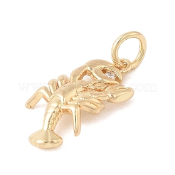 304ステンレススチールラインストーンペンダント  丸カン付き  海洋生物  ゴールドカラー  エビ  18x9x3mm  穴：3mm&nbsp;STAS-V013-02E-G