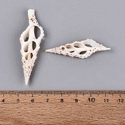 天然のスピンドルシェルペンダント  シェルスライスチャーム  フローラルホワイト  43~58x14~17x5.5~6.5mm  穴：2~9.5x2~5mm&nbsp;SSHEL-N042-26