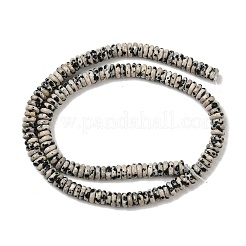 天然石ダルメシアンジャスパービーズ連売り  ロンデル  6x2mm  穴：1mm  約164~166個/連  15.16''（38.5センチメートル）&nbsp;G-Q159-B37-01
