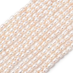 天然養殖淡水パールビーズ連売り  ライス  グレード3a++  パパイヤホイップ  4~5mm  穴：0.5mm  約54~62個/連  13.78~13.98''（35~35.5センチメートル）&nbsp;PEAR-F020-03