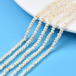 天然養殖淡水パール ビーズ 連  フラットラウンド  貝殻色  3~4x2.5~3mm  穴：0.6mm  約148~152個/連  14.09インチ〜14.25インチ（35.8~36.2cm）