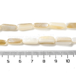 天然ニシキウズガイシェルビーズ連売り  オーバル  小麦  13.5~14x4.5~7x3~6mm  穴：0.6mm  約28個/連  14.96''（38センチメートル）&nbsp;SHEL-G020-03A