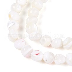 天然トロチッドシェル/トロカスシェルビーズ連売り  ナゲット  乳白色  4~6x2.5~6mm  穴：0.6mm  約84~92個/連  15.35~15.55インチ（39~39.5cm）&nbsp;SSHEL-N040-06
