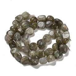 天然石ラブラドライトビーズ連売り  ナゲット  タンブルストーン  7~13x4.5~10x4.5~10mm  穴：1.2mm  約44~46個/連  15.08''~16.14''（38.3~41センチメートル）&nbsp;G-P497-01E-47