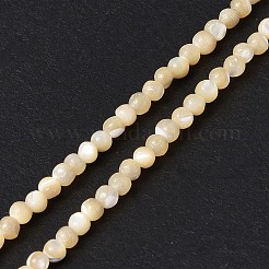 天然トロチッドシェル/トロカスシェルビーズ連売り  ラウンド  バリーウッド  3mm  穴：0.8mm  約128個/連  15.28インチ（38.8cm）&nbsp;SSHEL-S266-023B-01