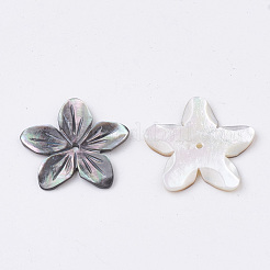 天然な黒リップシェルビーズ  花  18~20x18~21x2mm  穴：1mm&nbsp;SHEL-S269-70