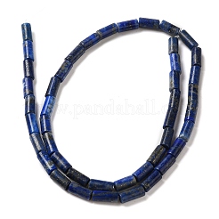 天然石ラピスラズリビーズ連売り  コラム  8x4mm  穴：0.7mm  約48個/連  15.35~15.43''（39~39.2センチメートル）&nbsp;G-B091-A15-01