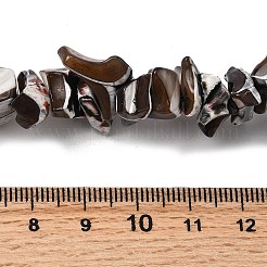 天然トロチッドシェル/トロカスシェルビーズ連売り  染め  ナゲット  ココナッツブラウン  5~22x7~15x3~8mm  穴：1.2mm  約65~70個/連  14.69~15.35''（37.3~39センチメートル）&nbsp;SHEL-B003-02M
