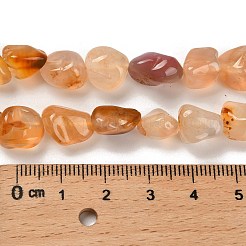 天然カーネリアン（染色・加熱）ビーズ連売り  ナゲット  タンブルストーン  4.5~13x3~9x3.5~8mm  穴：1~1.2mm  約48~68個/連  15.35~15.94インチ（39~40.5cm）&nbsp;G-P497-01C-69