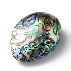楕円形の天然パウア貝のビーズ  50~65x36~40x16.5~20mm  穴：1mm&nbsp;SSHEL-F0008-01
