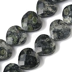 天然カンババジャスパービーズ連売り  多面カット  ハート  14.5~15x15~15.5x5.5~6mm  穴：1mm  約10個/連  5.51~5.71''（14~14.5センチメートル）&nbsp;G-A309-A01-01