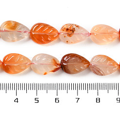 天然瑪瑙の彫刻ビーズ連売り  葉  15.5x10.5x5mm  穴：1mm  約25個/連  14.17''（36センチメートル）&nbsp;G-H024-B01-01