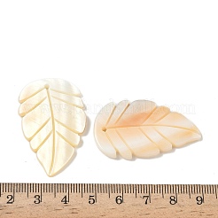 天然淡水貝の彫刻ペンダント  葉のチャーム  アンティークホワイト  40.5~41x24.5~26x3mm  穴：1.6mm&nbsp;SHEL-K006-54D
