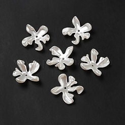 オペークアクリルビーズキャップ  模造パール  花  雪  20x19x5.5mm  穴：1.5mm&nbsp;OACR-H016-01