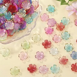 210 個 6 色のアクリルビーズキャップ  5  - 花びらの花  ミックスカラー  17.5x18x5mm  穴：1.2mm  35個/カラー&nbsp;OACR-SZ0001-47