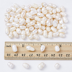 天然養殖淡水パールビーズ連売り  ライス  貝殻色  7~9x6~7mm  穴：0.5mm  約22~23個/連  7.09インチ（18cm）  5連売り/ボックス&nbsp;PEAR-NB0001-46