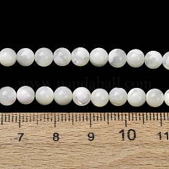 天然トロチッドシェル/トロカスシェルビーズ連売り  スムーズなラウンド  ホワイト  5~5.5mm  穴：0.8mm  約35個/連  7.09''（18センチメートル）&nbsp;SH-CBA2978-16A