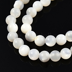 ナチュラルホワイトシェルビーズ連売り  ラウンド  5mm  穴：1mm  約79~81個/連  15.16インチ〜15.75インチ（38~40cm）&nbsp;SSHEL-N003-144D-01