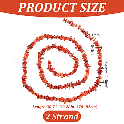 天然淡水シェルビーズ連売り  チップ  染め  レッド  5~8x5~8x2~6mm  穴：1mm  30.71~32.28''（78~82センチメートル）&nbsp;BSHE-WH0006-05C