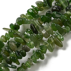 天然カナダ翡翠ビーズ連売り  チップ  1.5~5x3~13x2~8mm  穴：0.6mm  30.94~31.97''（78.6~81.2センチメートル）&nbsp;X-G-G0003-B38