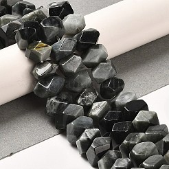 天然石のイーグルアイストーンビーズ連売り  多面カット  ナゲット  10~11x8~10x7~8mm  穴：1mm  約22~23個/連  7.09~7.48''（18~19センチメートル）&nbsp;G-N327-05-15