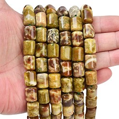 天然ドラゴンの血碧玉ビーズ連売り  コラム  12.5~13x10~10.5x10~10.5mm  穴：0.8mm  約31個/連  15.63''（39.7センチメートル）&nbsp;G-S396-03C