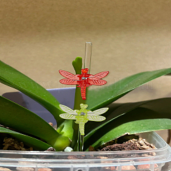 トンボ型プラスチック植物固定具 8色 40個  つる固定具  ミックスカラー  34x36x17mm  5個/カラー&nbsp;KY-LP0001-31