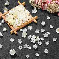 300個のABSプラスチックイミテーションパールフラワービーズキャップ  5枚の花びらと6枚の花びら  淡黄色  6.5~12.5x8~15x3~7mm  穴：1.5mm&nbsp;KY-CJ0001-59
