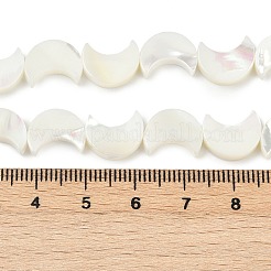 天然ホワイトシェルビーズ連売り  マザーオブパールシェルビーズ  ムーン  ホワイト  12x9.5x3mm  穴：1mm  約32個/連  14.57インチ（37cm）&nbsp;SSHEL-10X12