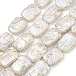 天然ケシパールビーズ連売り  バロック真珠  長方形  貝殻色  19~24.5x14~16x4~7mm  穴：0.9mm  約22個/連  15.59''（39.6センチメートル）&nbsp;PEAR-B003-01