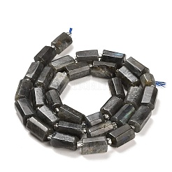 天然ラルビカイトビーズ連売り  シードビーズで  ファセット列  9~11x6~7.5x6~7.5mm  穴：1.2mm  約30個/連  15.16~15.55インチ（38.5~39.5cm）&nbsp;G-G068-A21-01