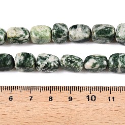 天然グリーンスポットジャスパービーズ連売り  直方体の  10~13x7.5~10x7.5~8mm  穴：1.2mm  約31~33個/連  15.55~16''（39.5~40センチメートル）&nbsp;G-T138-96