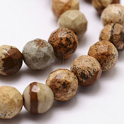 天然石ピクチャージャスパービーズ連売り  多面カット  ラウンド  6mm  穴：1mm  約61個/連  14.9インチ〜15.1インチ&nbsp;G-G736-27-6mm