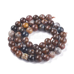 天然ピーターサイト連売り  ラウンド  8mm  穴：1mm  約47~49個/連  15.6インチ（39.5cm）&nbsp;G-O183-06A