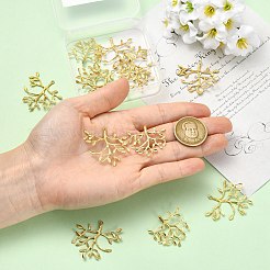 15個3スタイル真鍮ペンダント  鉛フリー＆カドミウムフリー＆ニッケルフリー  枝と葉のチャーム  生（メッキなし）  28.5~33x30~36x1~2mm  穴：1.2mm  5個/スタイル&nbsp;KK-CJ0005-82