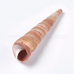 天然の巻き貝  魚水族館の装飾  ビーチコンチャシーシェルクラフト  キャメル  30~95x7~19mm&nbsp;DIY-WH0097-01