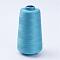 Polyester Thread, Sky Blue, 0.28mm, about 1749.78 yards(1600m)/roll
