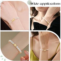 6個 3スタイル 304ステンレススチール 折りたたみ式留め具  オーバル  ゴールドカラー  18~23x6.5~11x3~3.5mm  穴：2.5~4x2~5mm  2個/スタイル&nbsp;STAS-PH0006-08