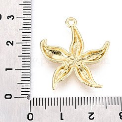 合金ペンダント  ヒトデ  ゴールドカラー  27x24x3mm  穴：1.8mm&nbsp;FIND-N010-13G