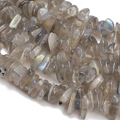 天然石ラブラドライトビーズ連売り  チップ  8~18.5x6.5~10x1.5~7mm  穴：0.7~1mm  約96~130個/連  15.94''（40.5センチメートル）&nbsp;GG-CBAC61B-C06-01