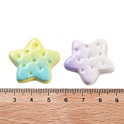 グラデーションカラー不透明樹脂模造食品デコデンカボション  スタービスケット  ミックスカラー  29.5x30.5x3.5mm&nbsp;RESI-S04-05