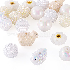 DIYビーズキット  8個のアクリルビーズを含む  ABSプラスチックビーズ8個  シェルパヨーロピアンビーズ4個  混合図形  ミックスカラー  20~20.5x20~28.5x13~20mm  穴：1.8~4mm  20個/セット&nbsp;DIY-TA0013-92