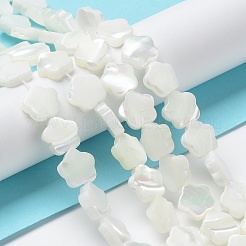 天然ニシキウズガイシェルビーズ連売り  花  雪  9.5x10x3mm  穴：0.6mm  約42~43個/連  15.75''（40センチメートル）&nbsp;X-BSHE-P033-07