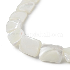 天然トロチッドシェル/トロカスシェルビーズ連売り  長方形  16x12x3.5mm  穴：0.7mm  約24個/連  15.43インチ（39.2cm）&nbsp;BSHE-G033-01