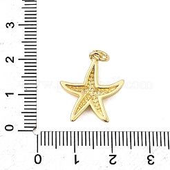 真鍮チャーム  丸カン付き  ラックめっき  長持ちメッキ  鉛フリー＆カドミウムフリー  18KGP本金メッキ  ヒトデ  20x17.5x3mm  穴：3.5mm&nbsp;X-KK-A266-12O-G