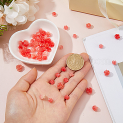 60個3スタイルレジンビーズ  花  トマト  6.5~7.5x7~10.5x6.5~10.5mm  穴：1.2mm&nbsp;RESI-HS0001-12