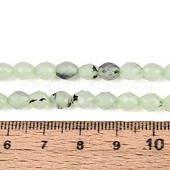 天然石プレナイトビーズ連売り  バレル  多面カット  5.5~6.5x5~5.5mm  穴：1~1.2mm  約57~61個/連  13.98~14.17''（35.5~36センチメートル）&nbsp;G-T142-82