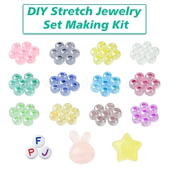 DIY ストレッチ ジュエリー セット作成キット  弾性糸を含む  アクリルビーズ  ガラスシードビーズ  ミックスカラー  4~20x0.8~17.5x0.8~12mm  穴：1.2~3mm&nbsp;DIY-FS0006-76